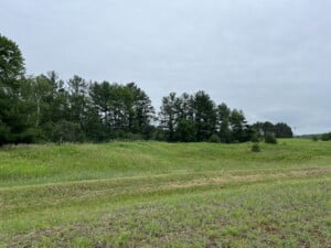 Lot 2 located in Wittenberg