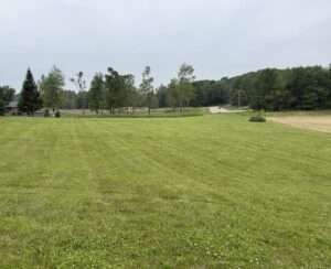 lot 1