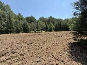 food plot