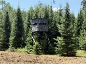 tree stand in the 60 acres of woods