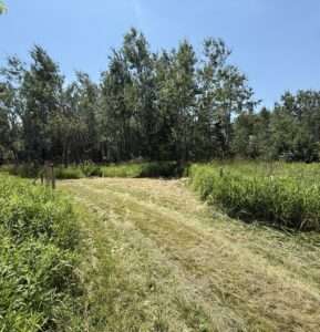 60 acres trail with woods