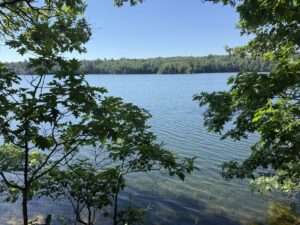 Mann Lake View