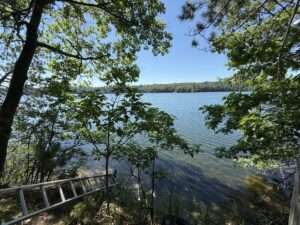Mann Lake View